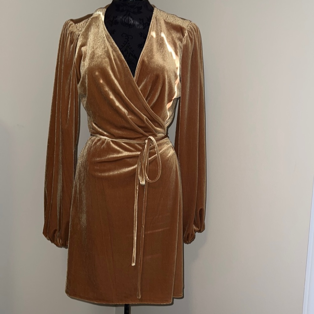 Beautiful Gold Velvet Gianni Bini Dress